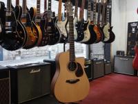 FURCH GUITARS BLUE - Gc-SW LRB1