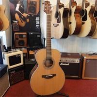 TAKAMINE GN20NS
