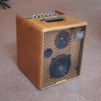 ACUS One For Strings 5T Wood