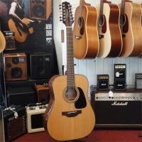 TAKAMINE GD30CE-12NAT
