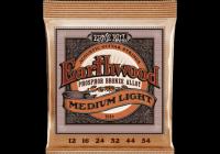 ERNIE BALL CEB 2146 Earthwood - Medium light 12-54