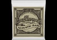 ERNIE BALL CEB 2070 - Basse acoustique 45-55-80-95