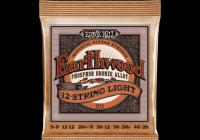 ERNIE BALL CEB 2153 Earthwood - Light 12 cordes 9-46