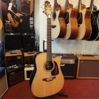TAKAMINE P5DC