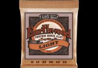 ERNIE BALL CEB 2148 Earthwood - Light 11-52
